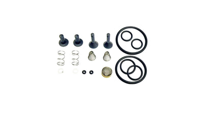CPS TR21X1 Valve Rebuild Kit, Oil less Compressor Valve Rebuild Kit image 0
